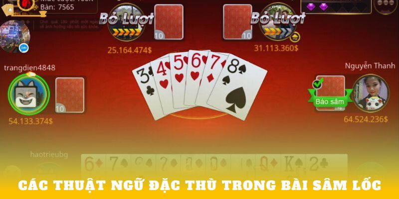 Các thuật ngữ đặc thù trong bài Sâm Lốc